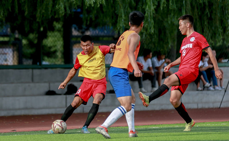 巴媒：因博塔弗戈解雇体能教练，达维德·安切洛蒂决定离任（巴媒：博塔弗戈解雇体能教练后，达维德·安切洛蒂决定辞职）